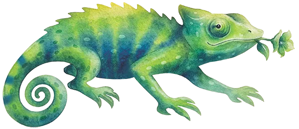 chameleon