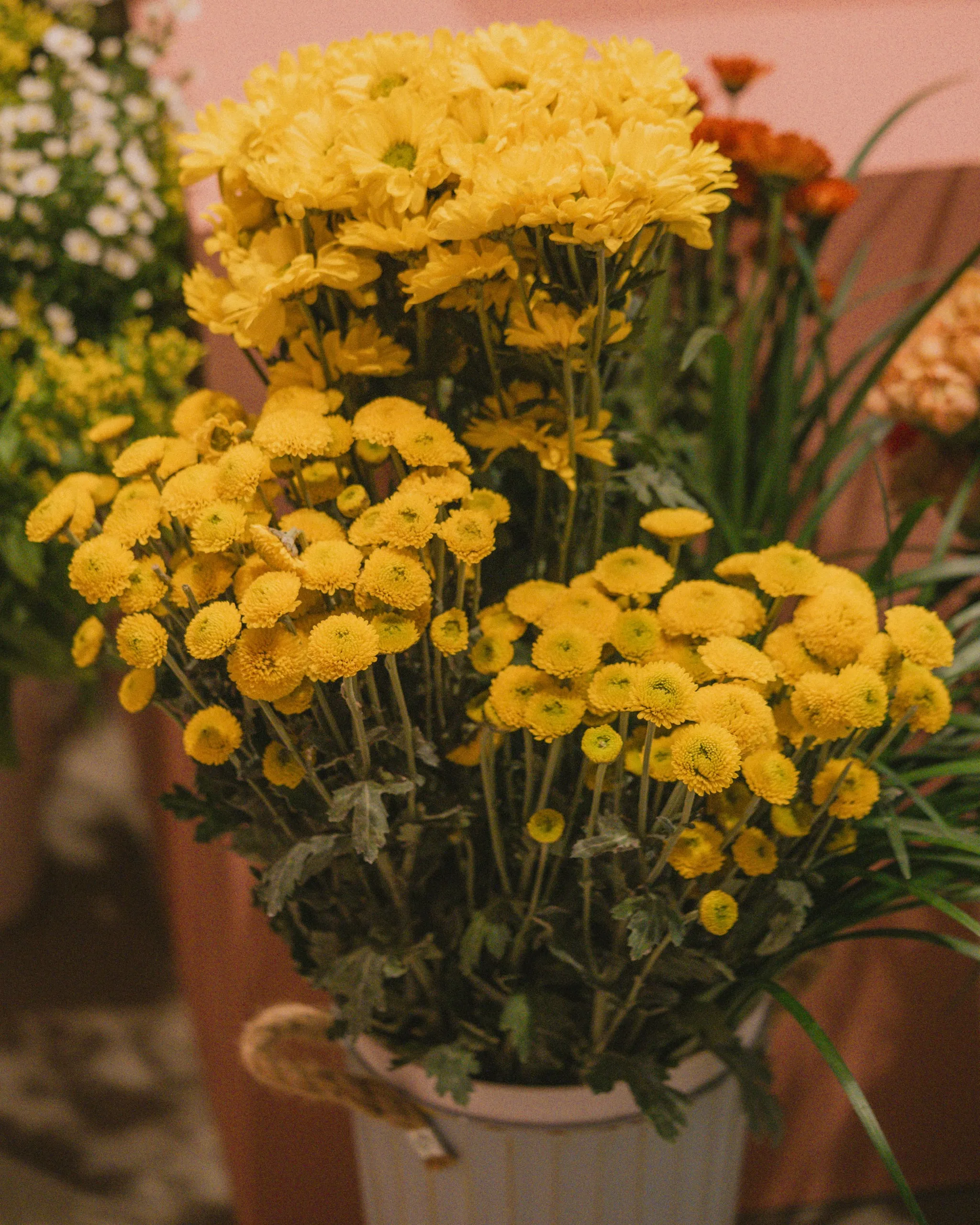 Yellow chrysanthemums and button mums arranged in a white pack, surrounded by mixed flowers in a floral shop setting